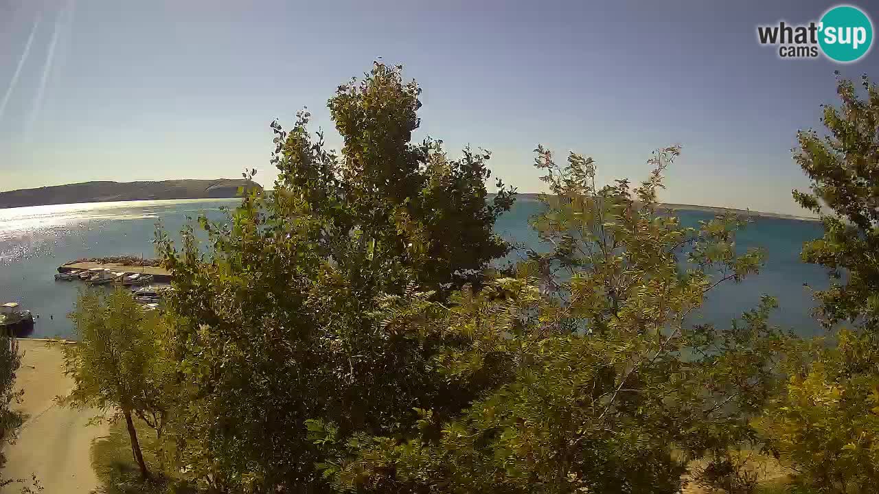 Camping Odmoree webcam Ražanac – Dalmazia