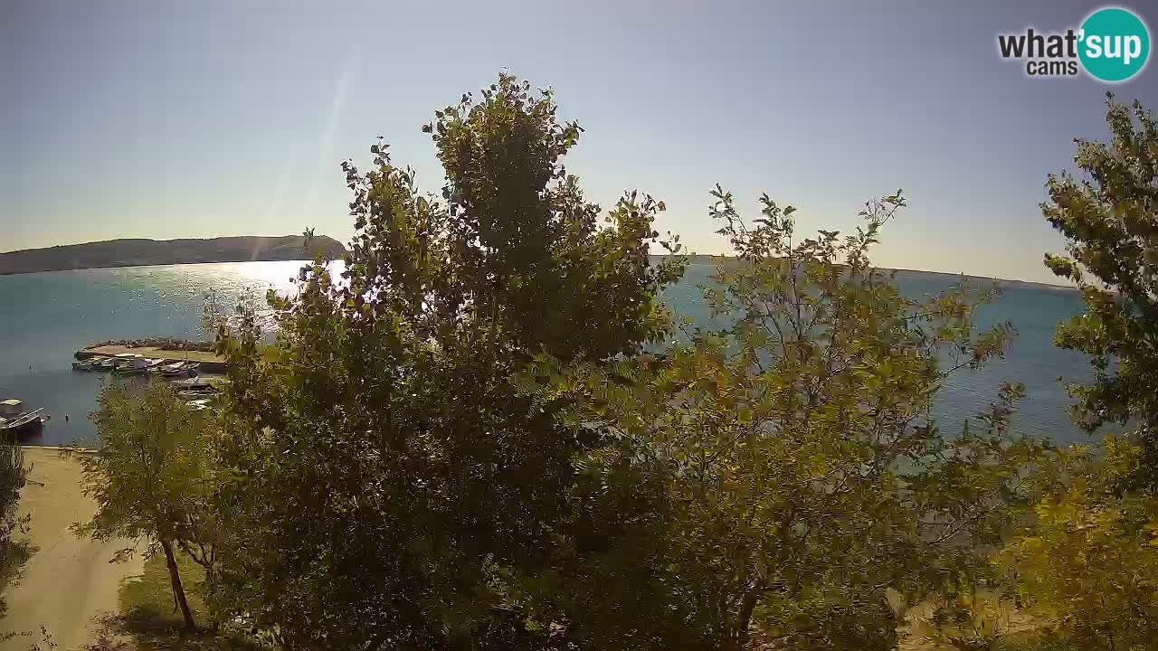 Kamp Odmoree spletna kamera Ražanac – Dalmacija