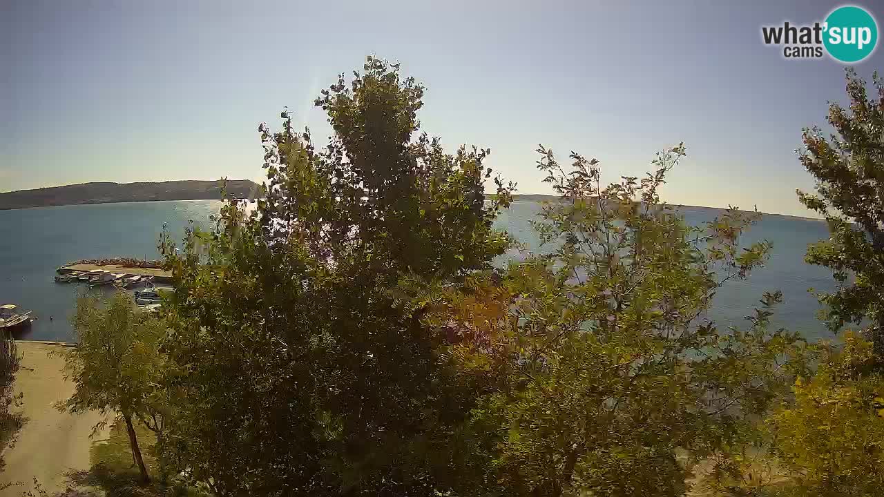 Camping Odmoree camera en vivo Ražanac – Dalmacia
