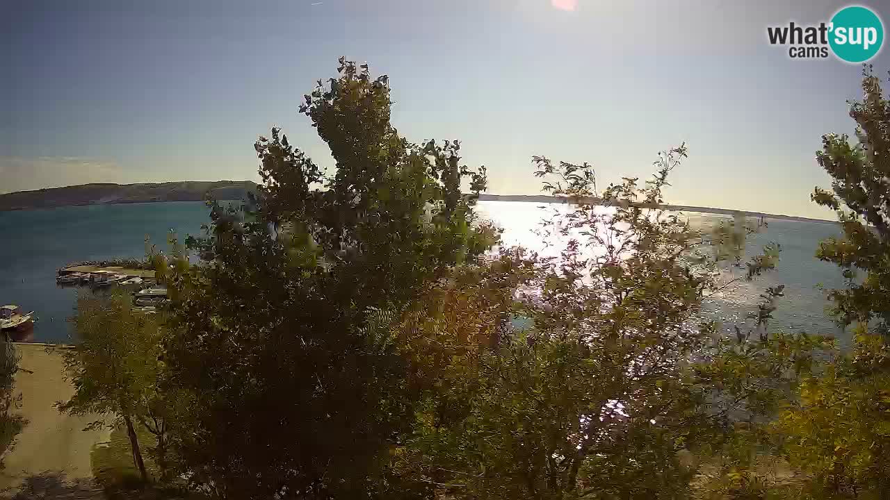Camping Odmoree camera en vivo Ražanac – Dalmacia