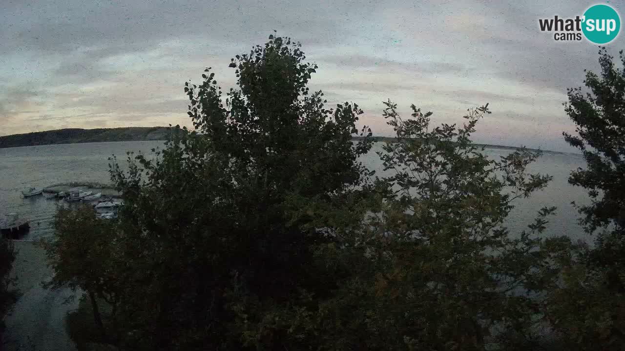 Camping Odmoree webcam Ražanac – Dalmazia