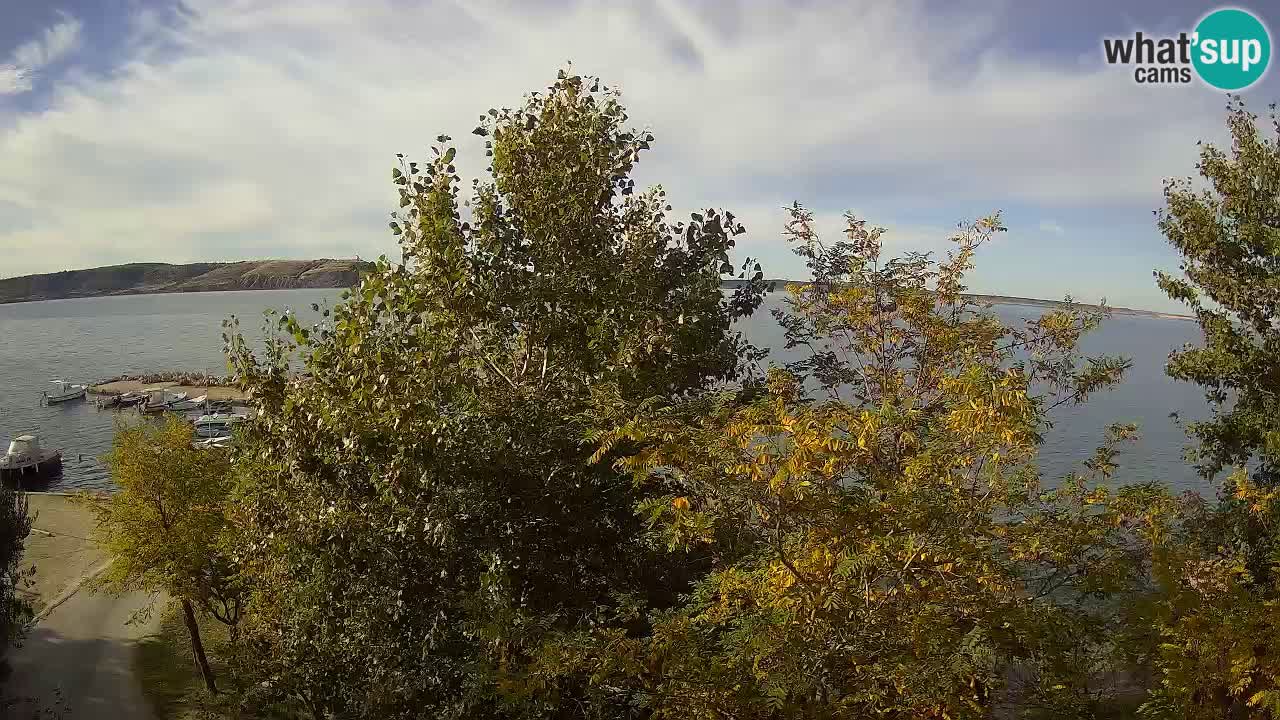 Kamp Odmoree spletna kamera Ražanac – Dalmacija
