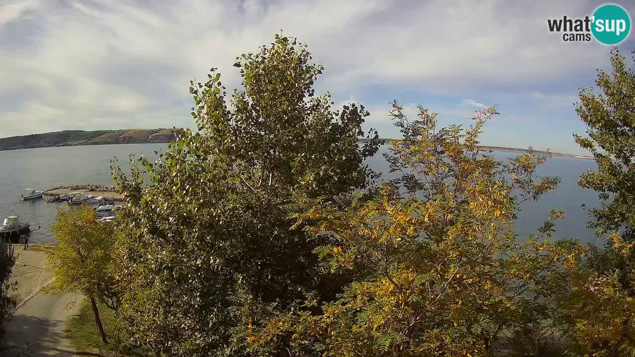 Camping Odmoree camera en vivo Ražanac – Dalmacia