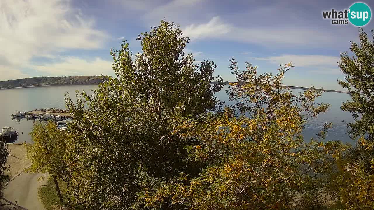 Camping Odmoree webcam Ražanac – Dalmatia