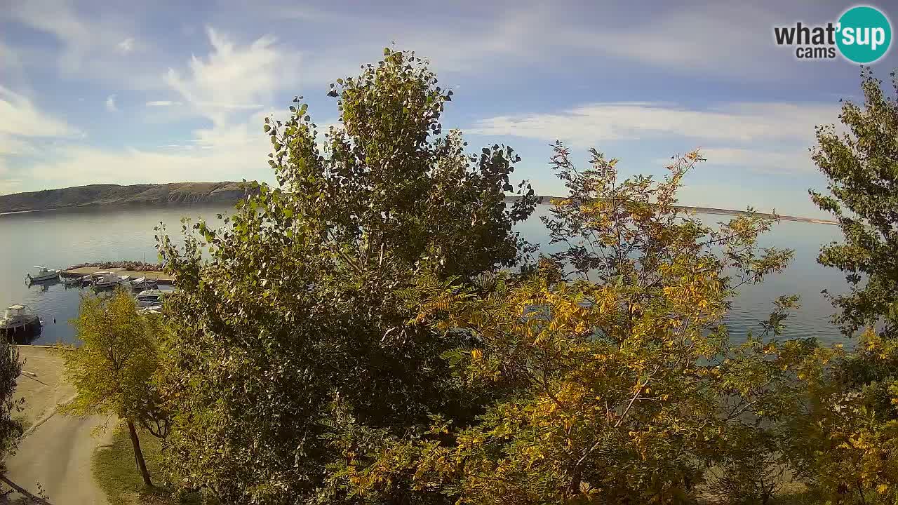 Kamp Odmoree spletna kamera Ražanac – Dalmacija