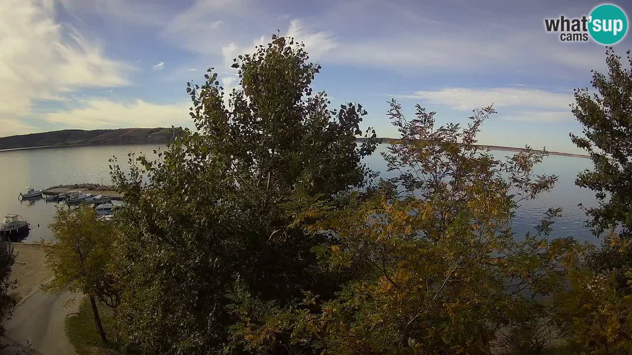Camping Odmoree live cam Ražanac – Dalmatie