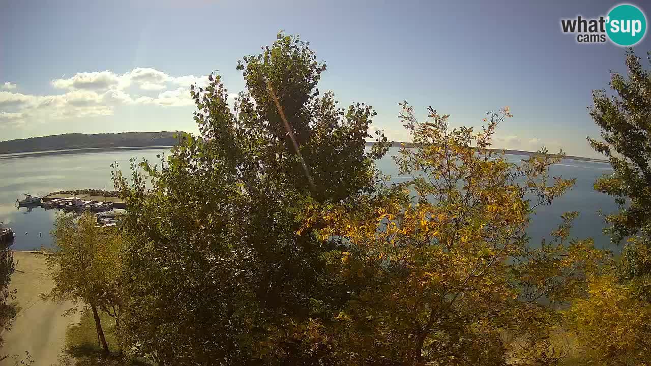 Camping Odmoree web kamera Ražanac – Dalmacija