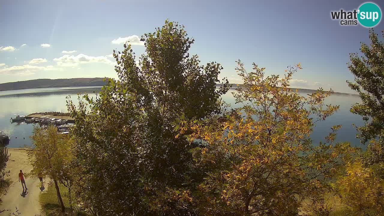 Camping Odmoree web kamera Ražanac – Dalmacija