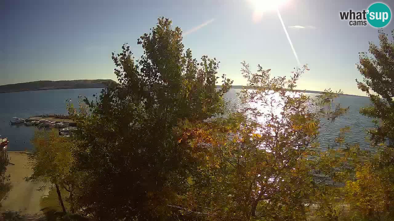 Camping Odmoree web kamera Ražanac – Dalmacija