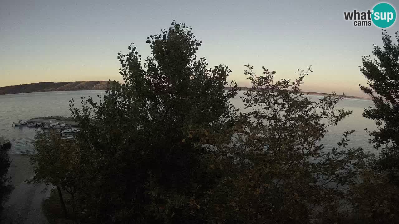 Kamp Odmoree spletna kamera Ražanac – Dalmacija