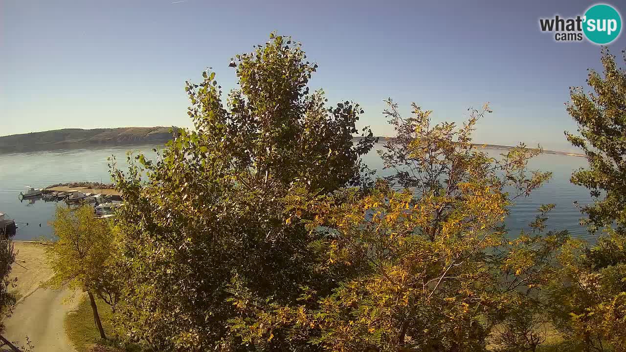 Kamp Odmoree spletna kamera Ražanac – Dalmacija