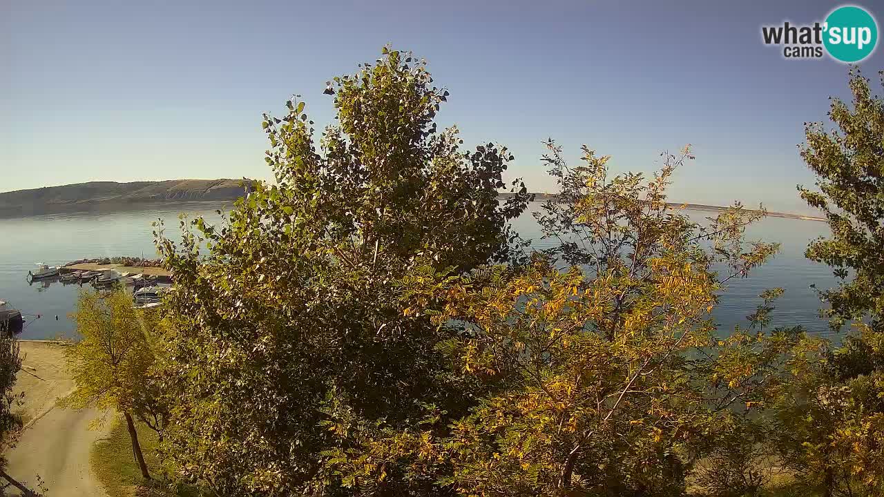 Kamp Odmoree spletna kamera Ražanac – Dalmacija