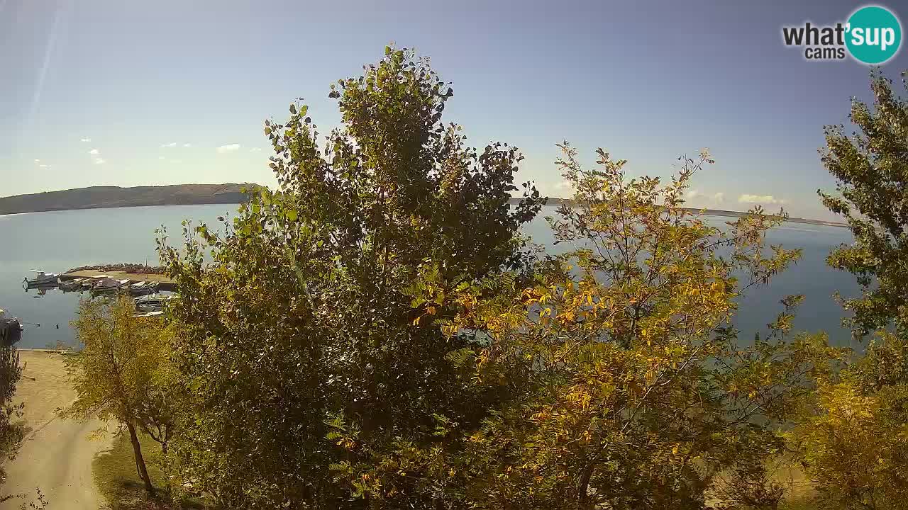 Kamp Odmoree spletna kamera Ražanac – Dalmacija