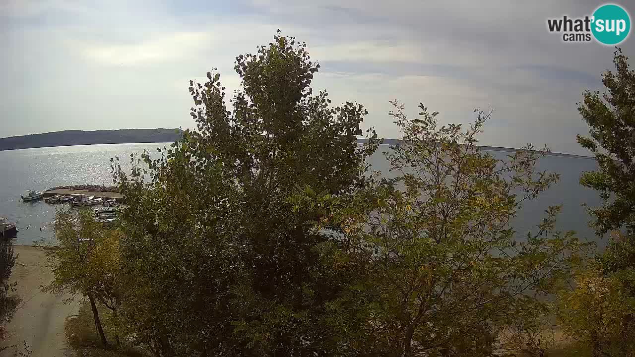 Camping Odmoree live cam Ražanac – Dalmatie