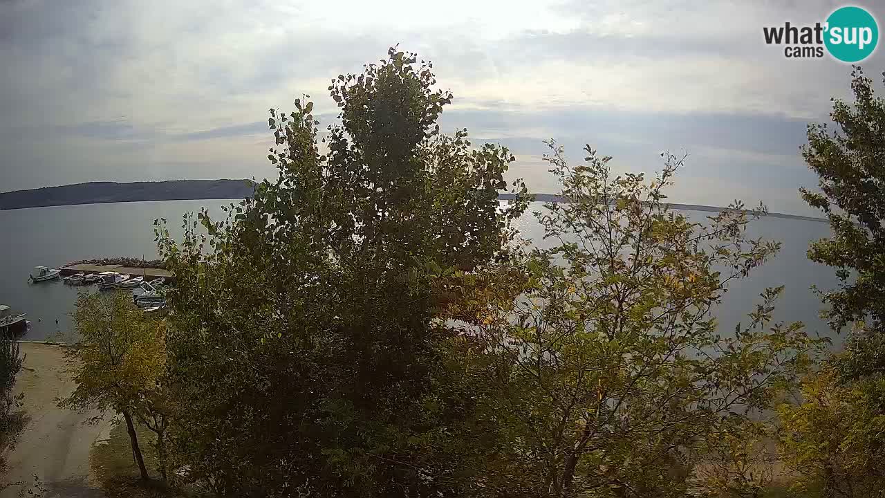 Camping Odmoree webcam Ražanac – Dalmazia