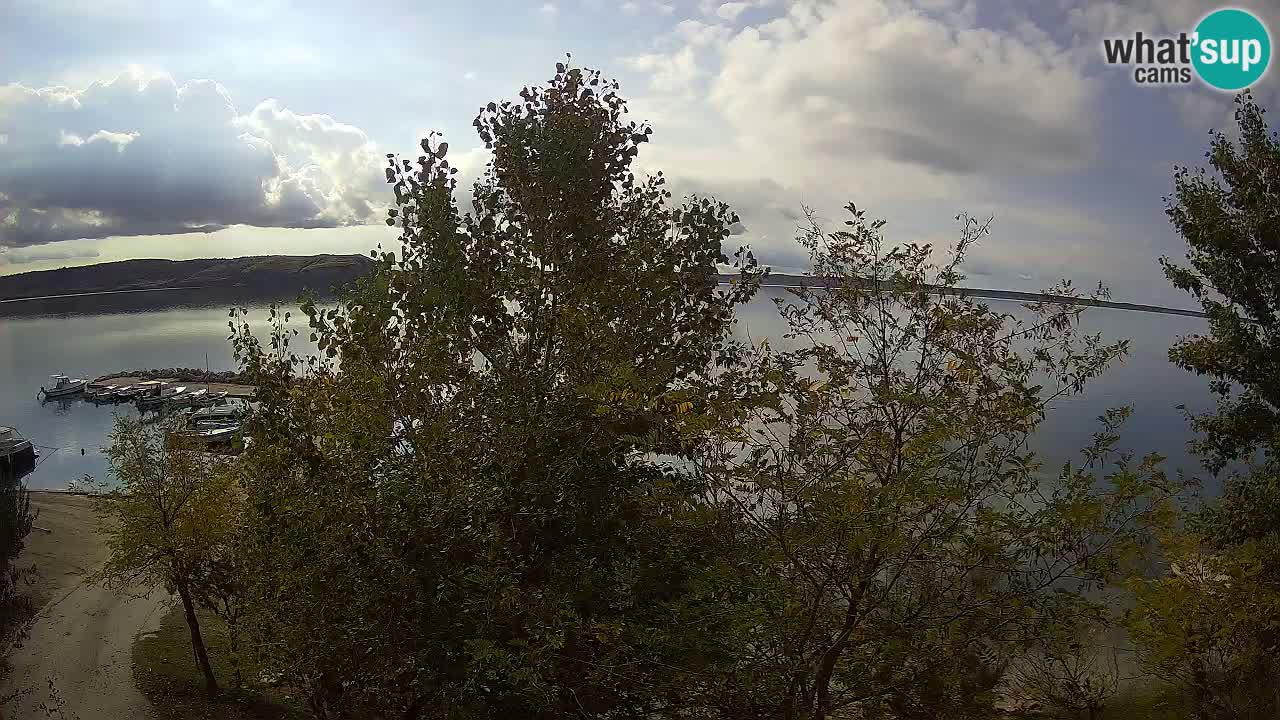 Kamp Odmoree spletna kamera Ražanac – Dalmacija