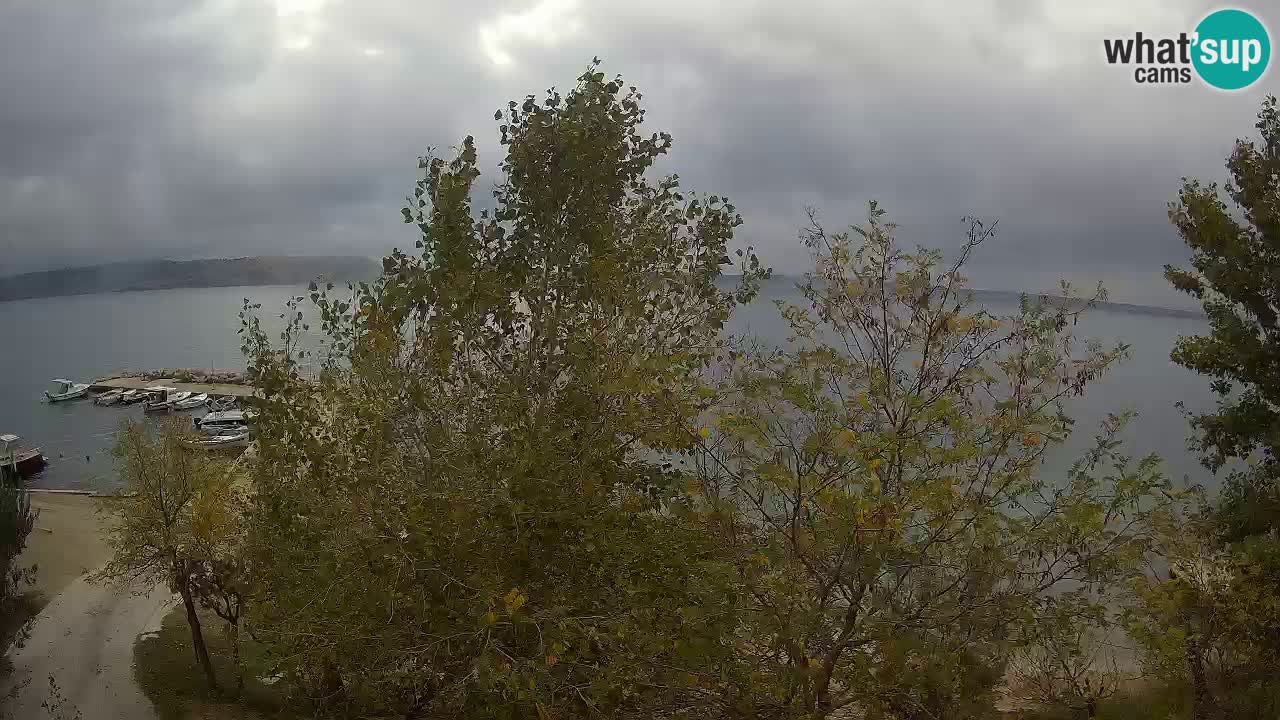 Camping Odmoree live cam Ražanac – Dalmatie