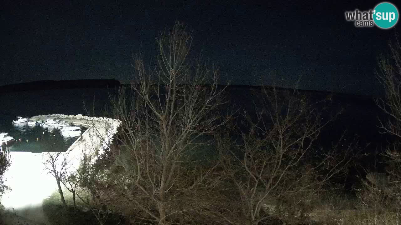 Kamp Odmoree spletna kamera Ražanac – Dalmacija