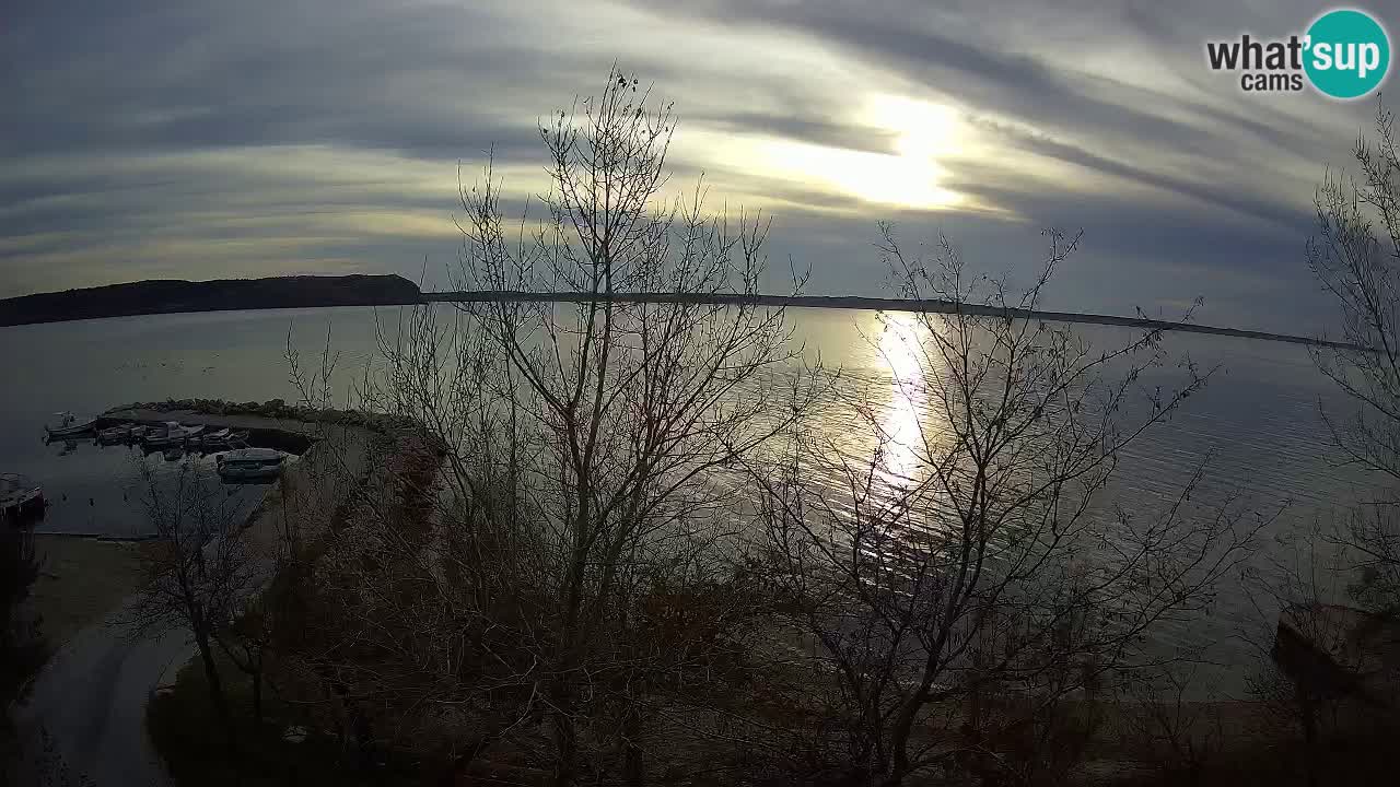 Kamp Odmoree spletna kamera Ražanac – Dalmacija
