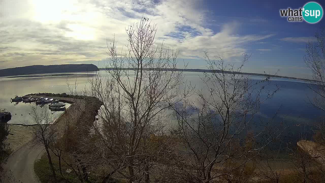 Kamp Odmoree spletna kamera Ražanac – Dalmacija