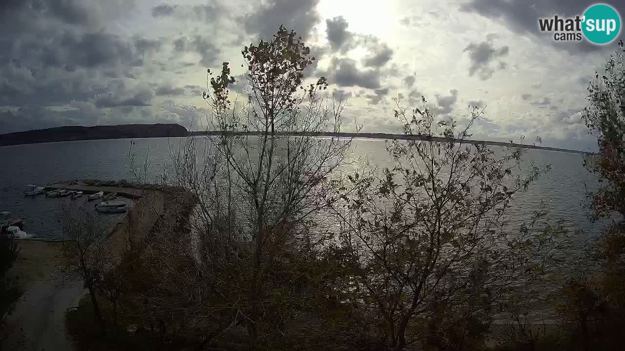 Camping Odmoree live cam Ražanac – Dalmatie