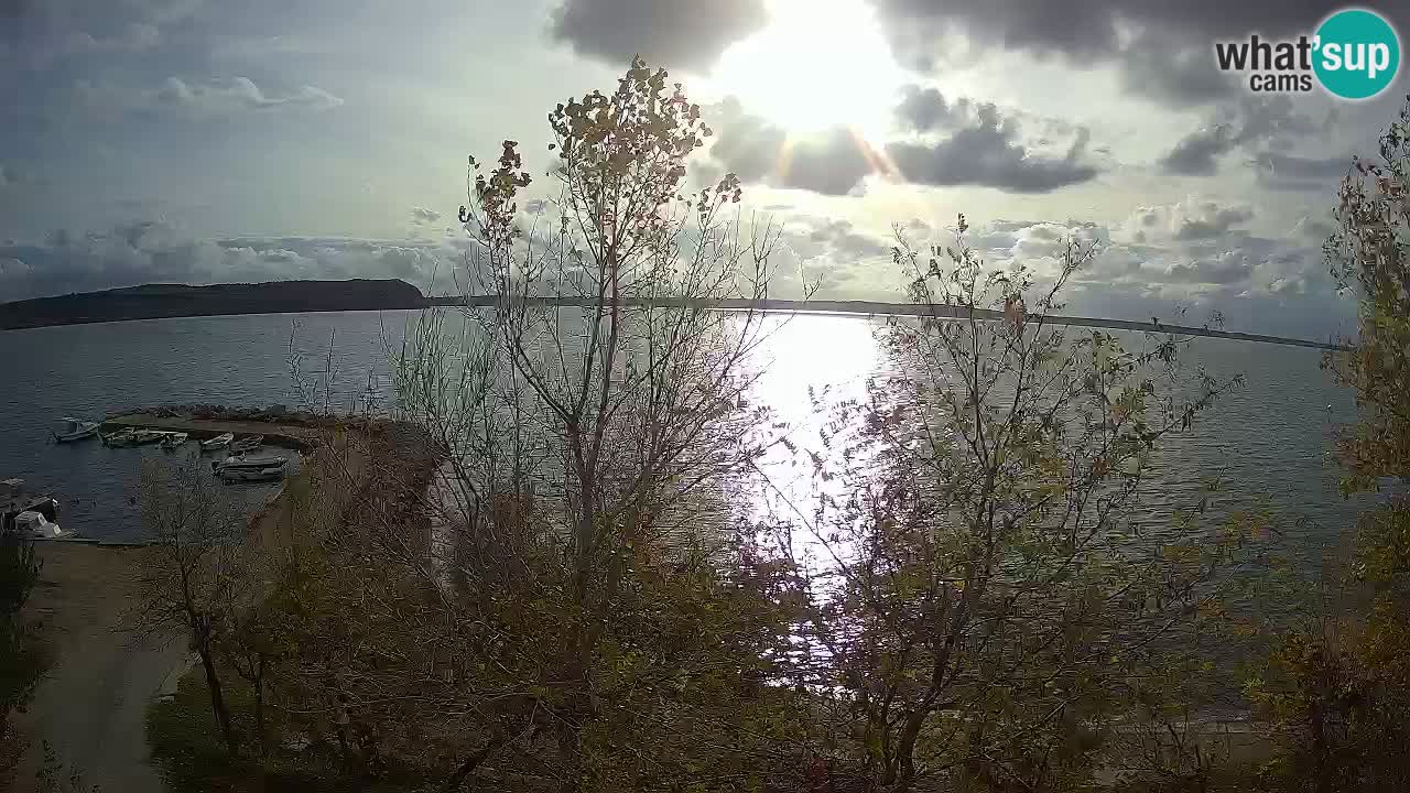 Camping Odmoree web kamera Ražanac – Dalmacija