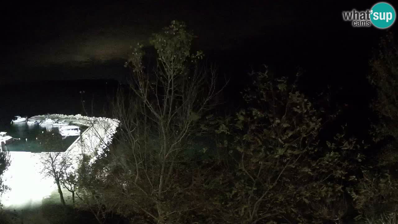 Kamp Odmoree spletna kamera Ražanac – Dalmacija