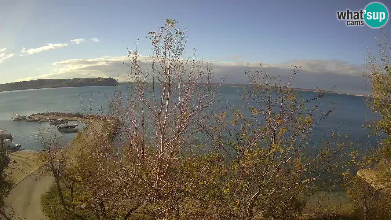 Camping Odmoree web kamera Ražanac – Dalmacija