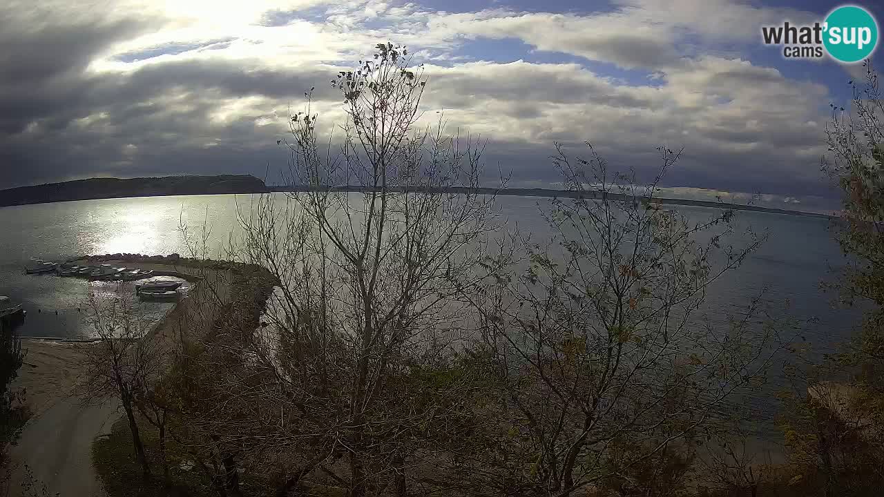 Camping Odmoree web kamera Ražanac – Dalmacija