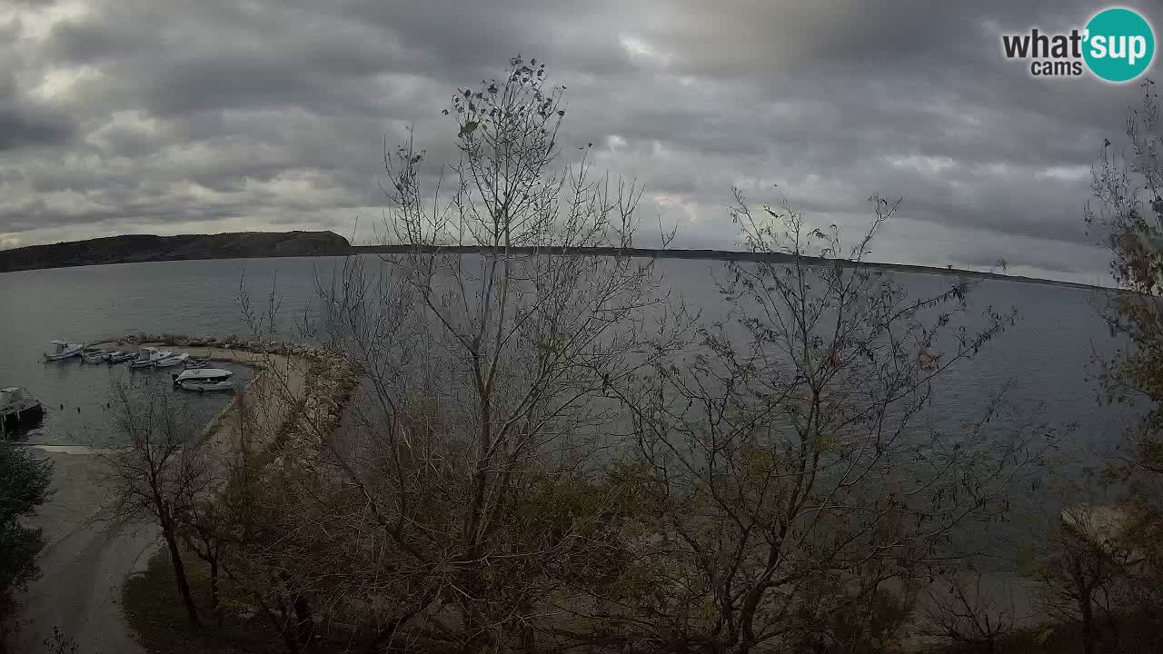 Kamp Odmoree spletna kamera Ražanac – Dalmacija