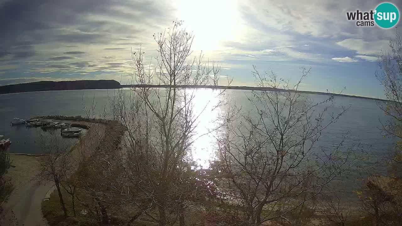 Camping Odmoree webcam Ražanac – Dalmatia