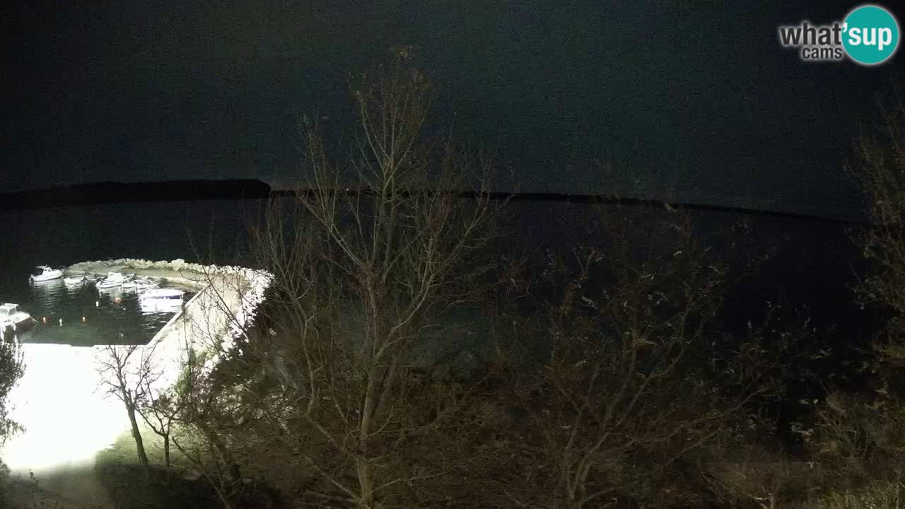 Kamp Odmoree spletna kamera Ražanac – Dalmacija