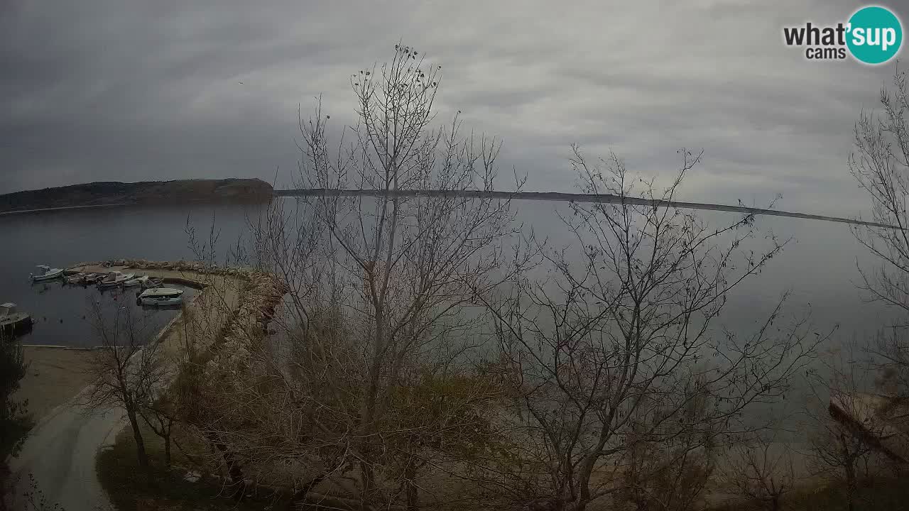 Camping Odmoree webcam Ražanac – Dalmatia