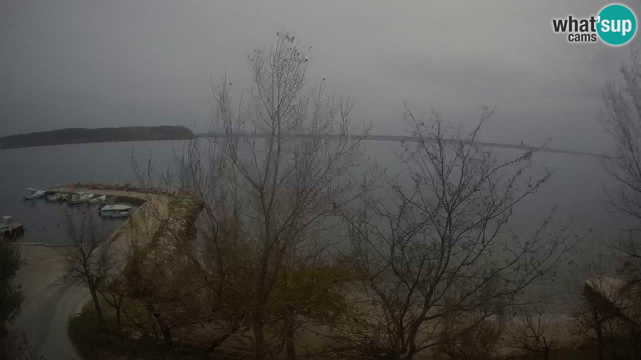 Camping Odmoree web kamera Ražanac – Dalmacija