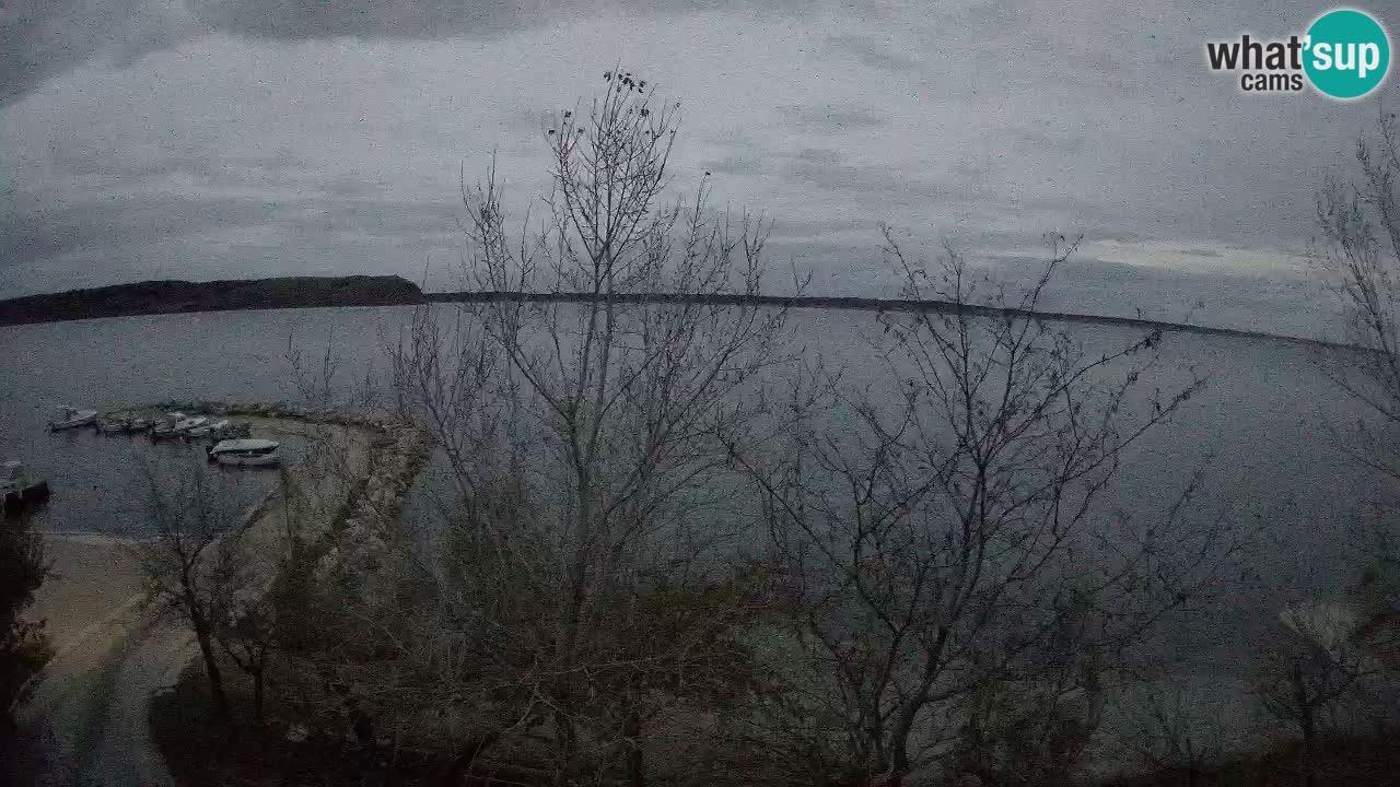 Kamp Odmoree spletna kamera Ražanac – Dalmacija