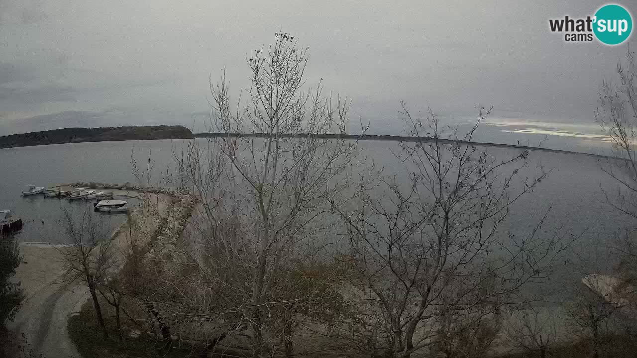 Camping Odmoree camera en vivo Ražanac – Dalmacia