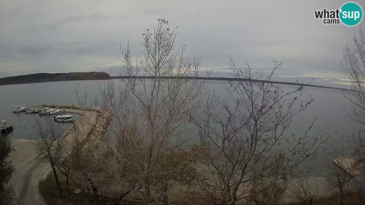 Camping Odmoree camera en vivo Ražanac – Dalmacia