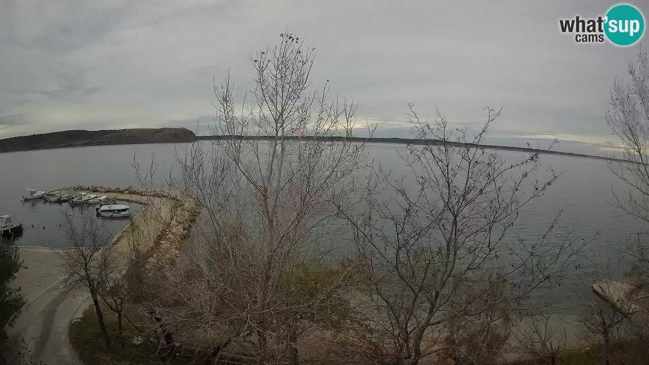 Camping Odmoree camera en vivo Ražanac – Dalmacia