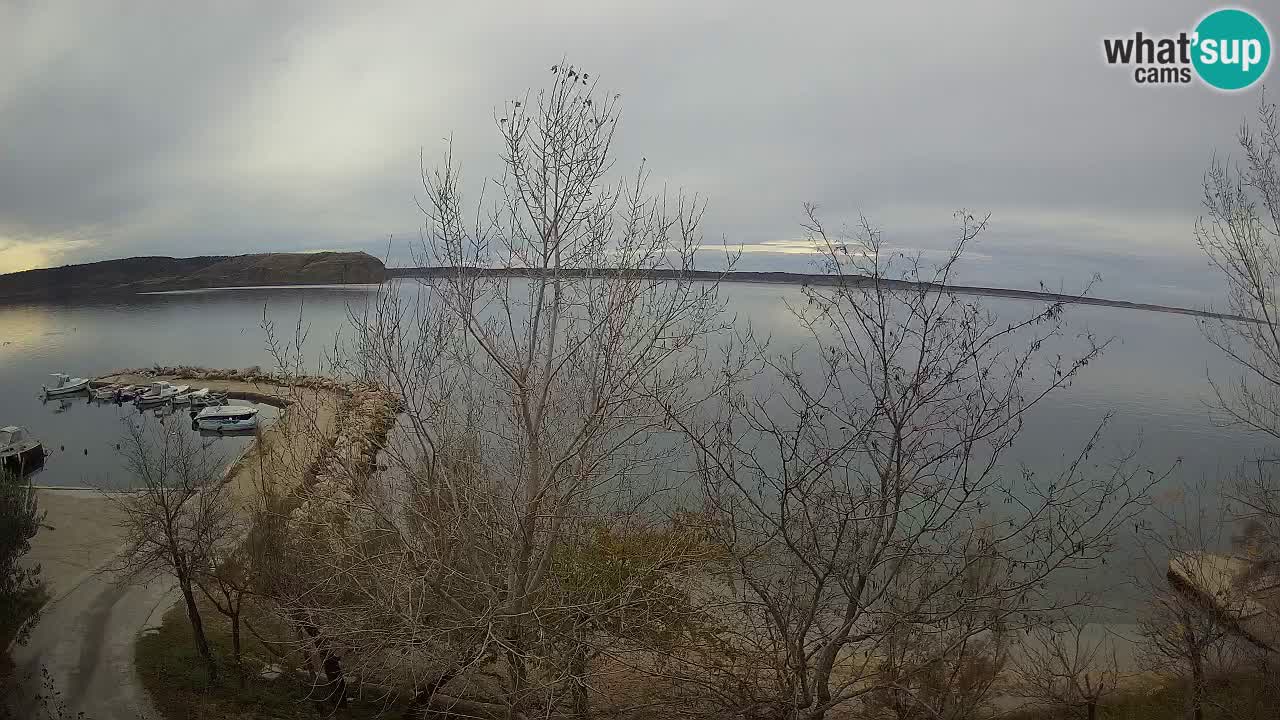 Camping Odmoree camera en vivo Ražanac – Dalmacia