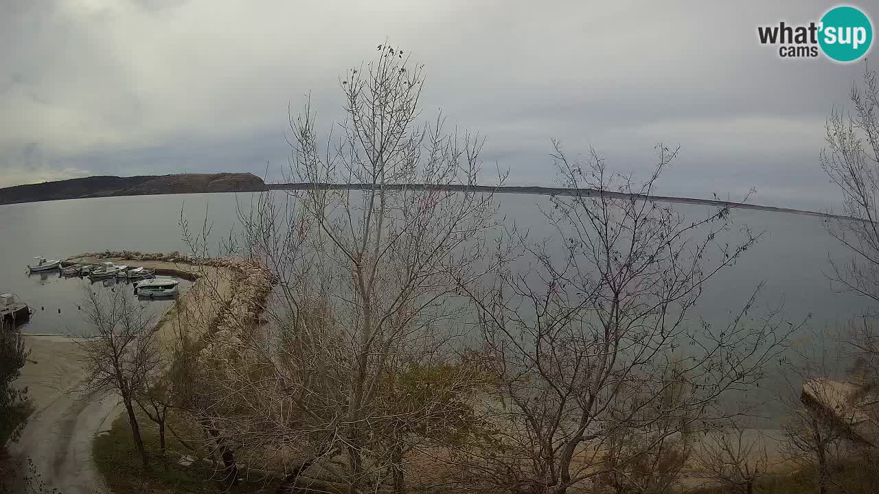 Camping Odmoree web kamera Ražanac – Dalmacija