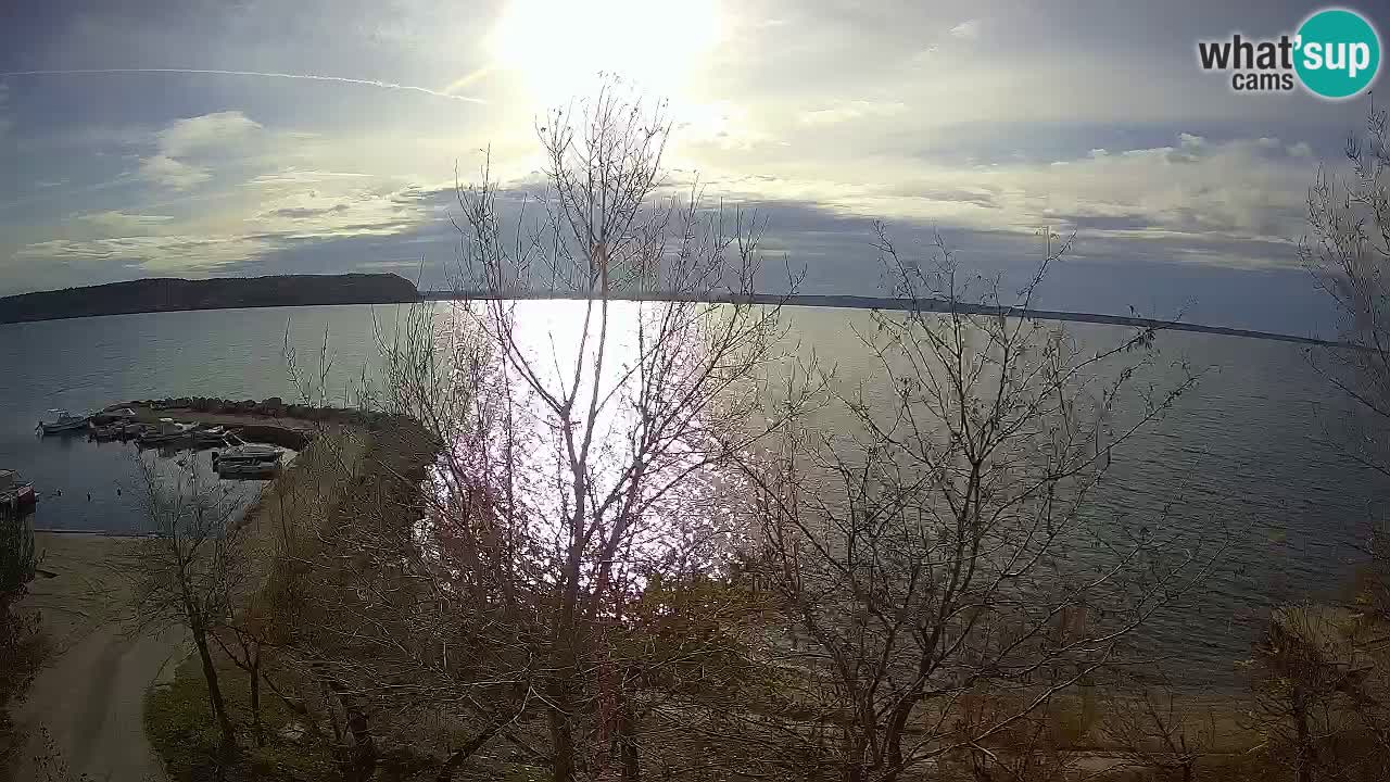 Camping Odmoree camera en vivo Ražanac – Dalmacia