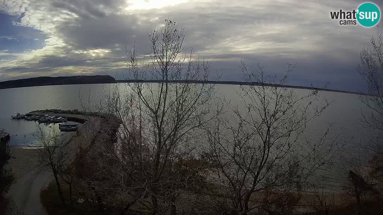 Camping Odmoree live webcam Ražanac – Dalmatien