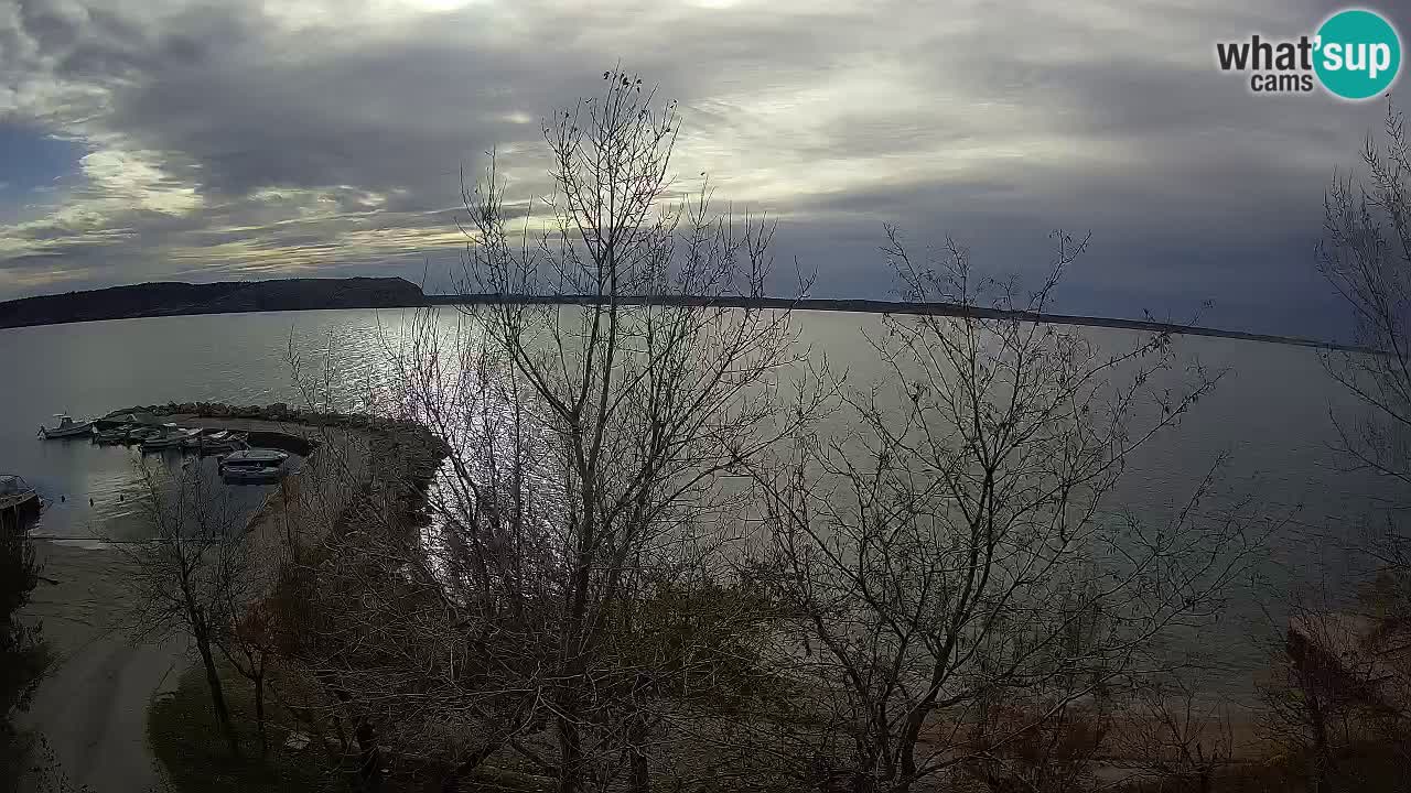 Camping Odmoree camera en vivo Ražanac – Dalmacia