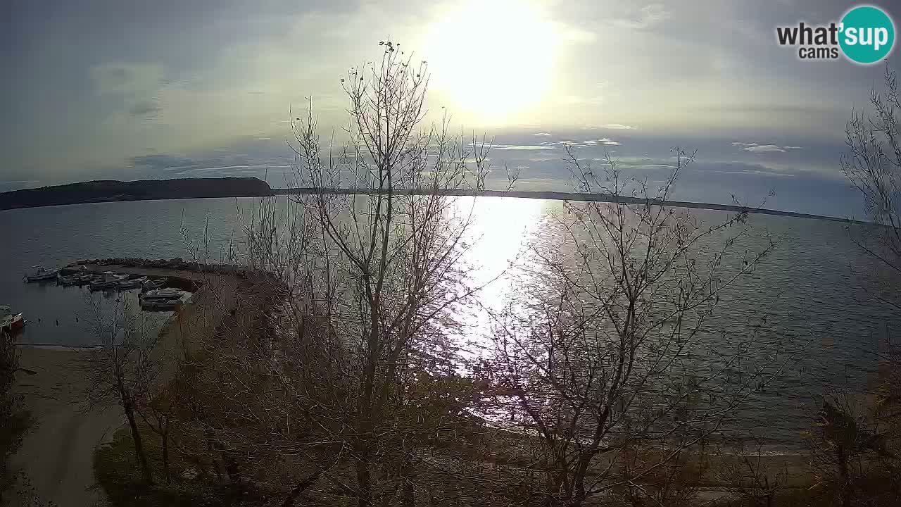 Camping Odmoree camera en vivo Ražanac – Dalmacia