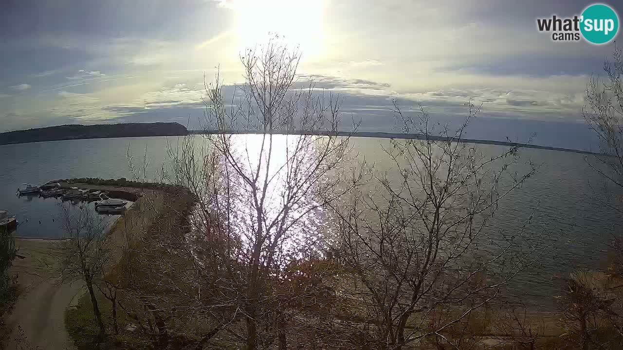 Camping Odmoree camera en vivo Ražanac – Dalmacia