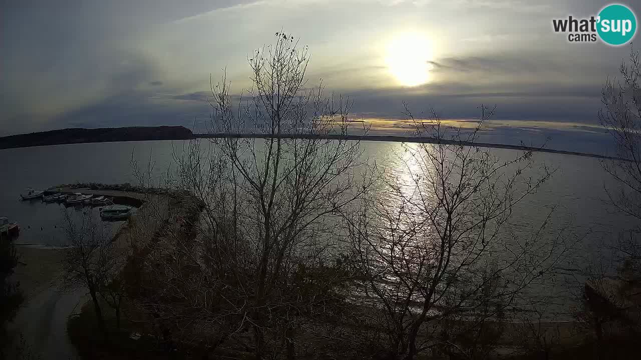 Camping Odmoree web kamera Ražanac – Dalmacija