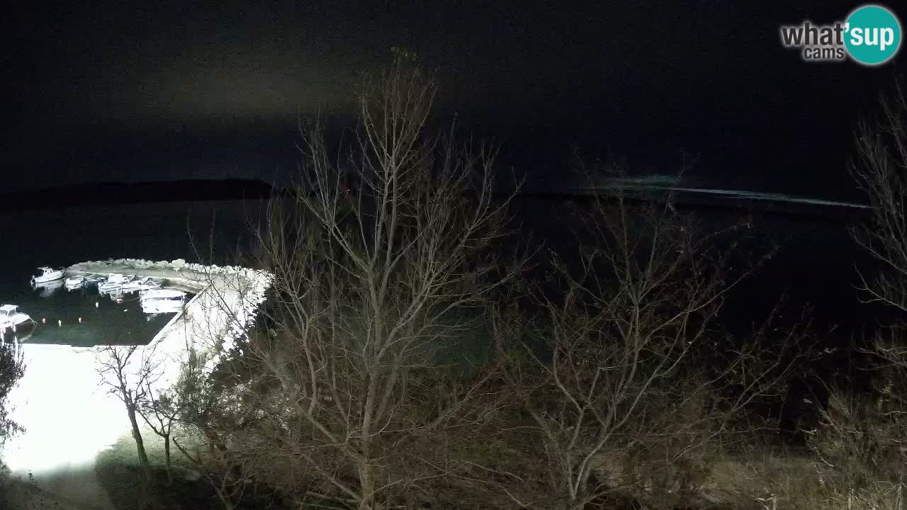 Kamp Odmoree spletna kamera Ražanac – Dalmacija