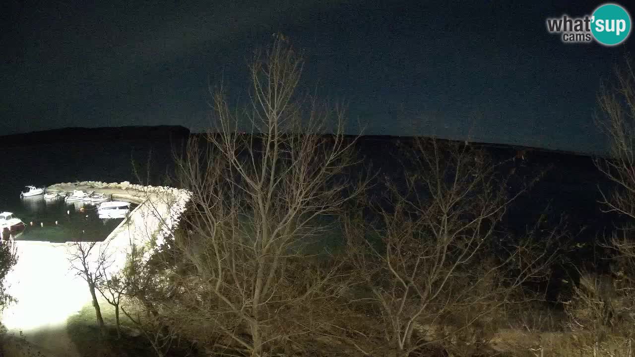 Camping Odmoree camera en vivo Ražanac – Dalmacia