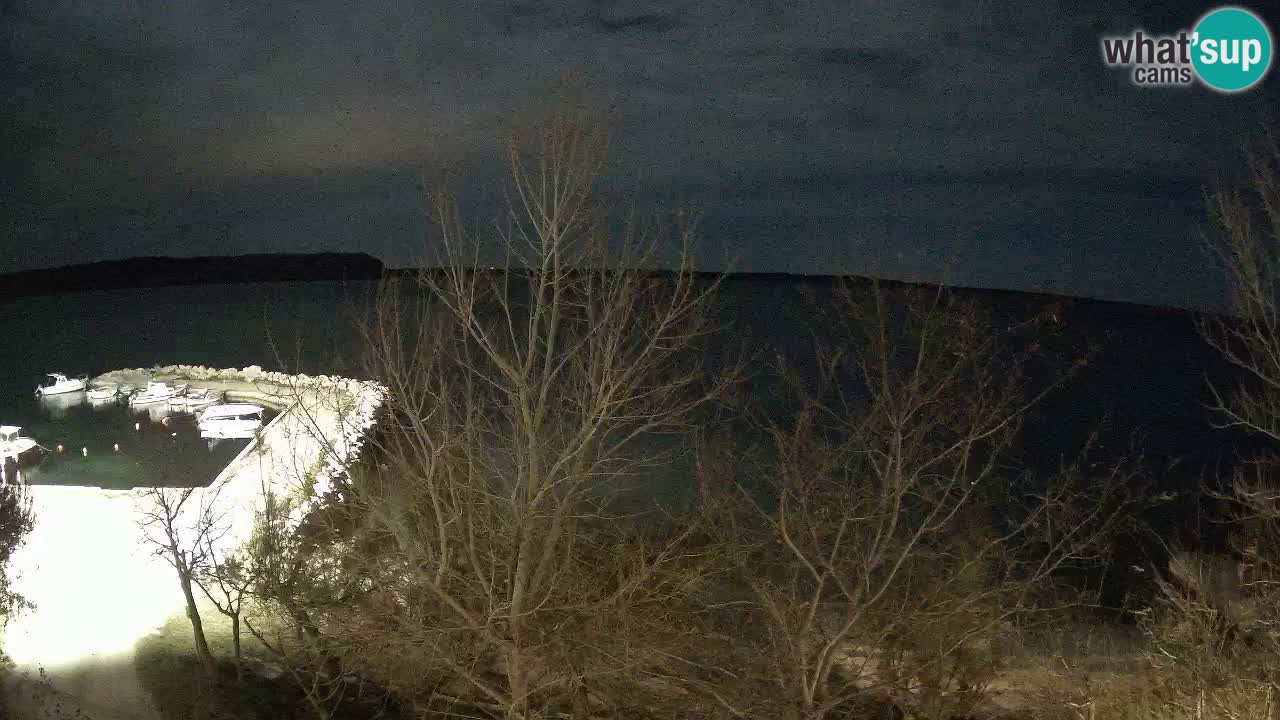 Kamp Odmoree spletna kamera Ražanac – Dalmacija