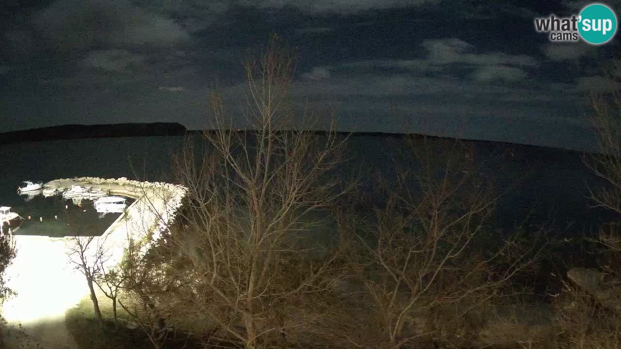 Camping Odmoree camera en vivo Ražanac – Dalmacia